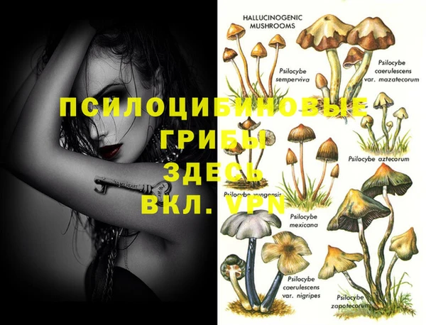кокаин премиум Баксан
