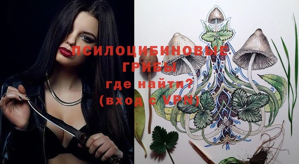 spice Россошь